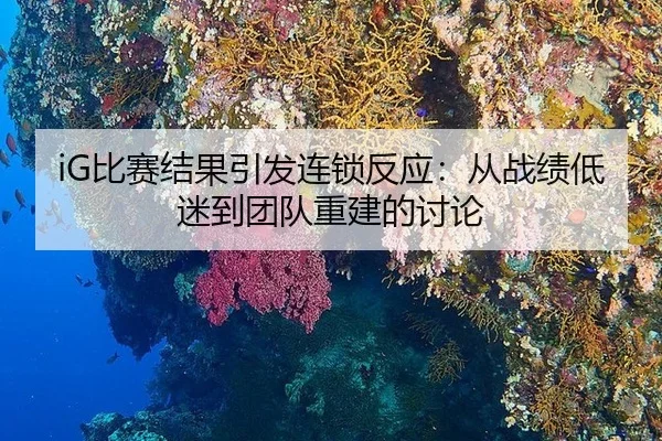 iG比赛结果引发连锁反应：从战绩低迷到团队重建的讨论